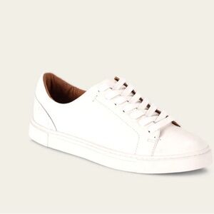 Brand New Frye Ivy Low Lace Sneaker in 8